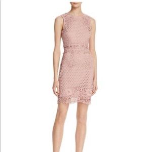 Aqua Pink Lace Body-con Dress